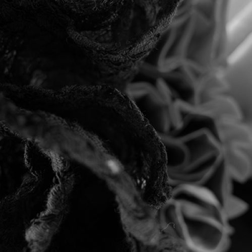 black and white image with details