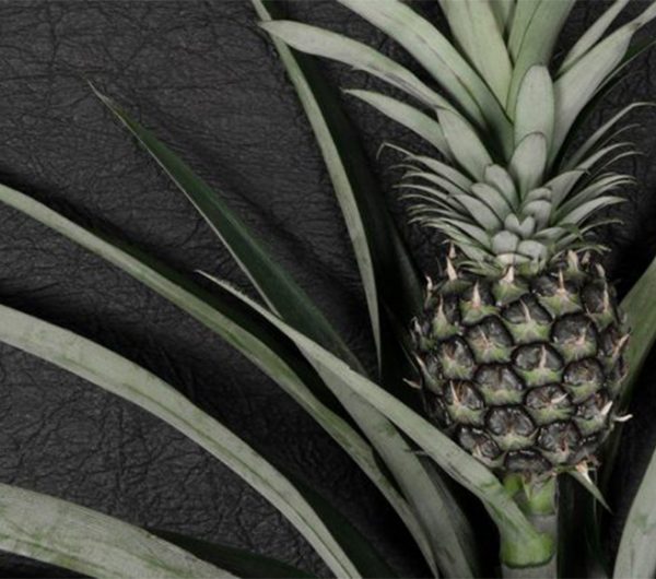 A pineapple with its leaf with a leather background