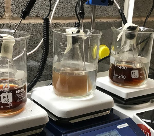 Three glass jars with brown liquid for experimental research